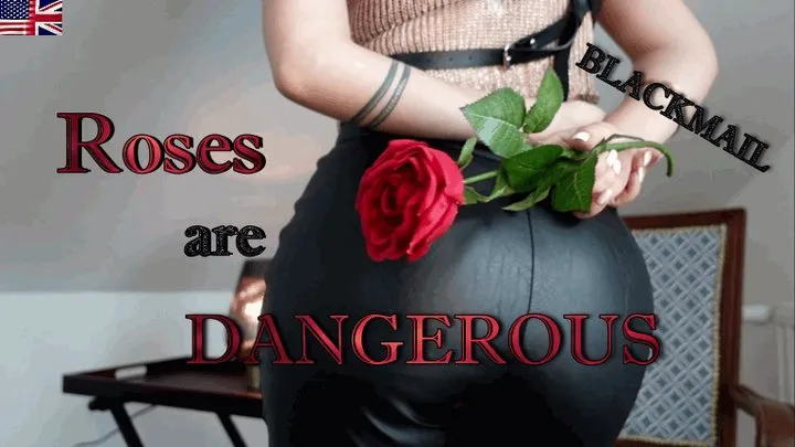 Blackmail - Roses are dangerous