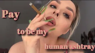 Human Ashtray - FinDom