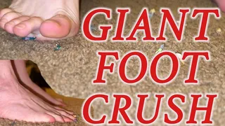 Unaware Giant Foot Crush!