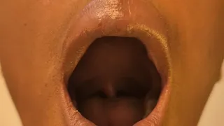 ORAL EXAMINATION | Morgan