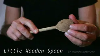 Little Wooden Spoon