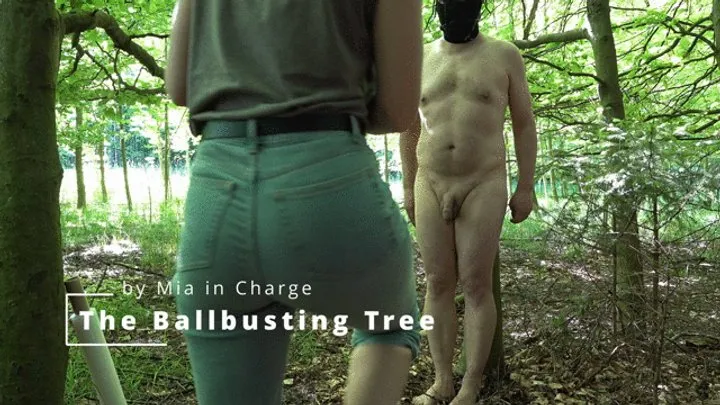 The Ballbusting Tree