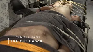 The CBT Bench