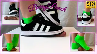 Cock Trampling Green Socks - Cock Crush And Cum Play Adidas Campus - Cockbox - Cock Crush - Shoejob - Sockjob