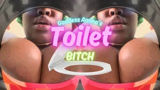 Goddess Amina's Toilet Bitch