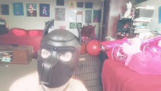 New Gimp Mask From Viewer! GRATEFUL