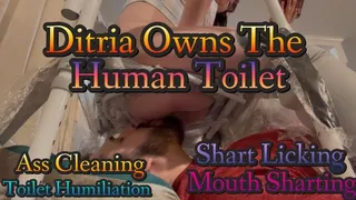 Personal Shart Licking Toilet - Ditria Rose