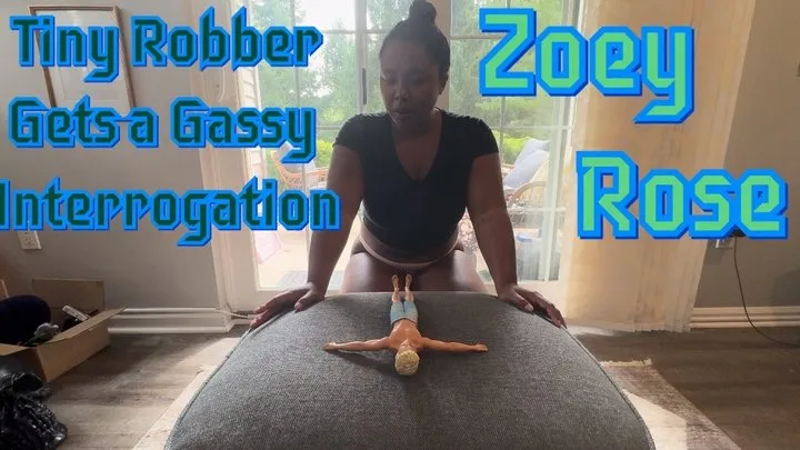 Zoey's Fart Interrogation on Tiny Robber