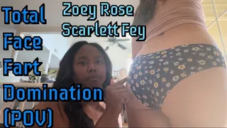 Total Face Fart Domination (POV)