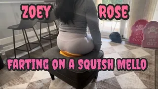 Farting on a Stuffed Sandwich! - Zoey Rose