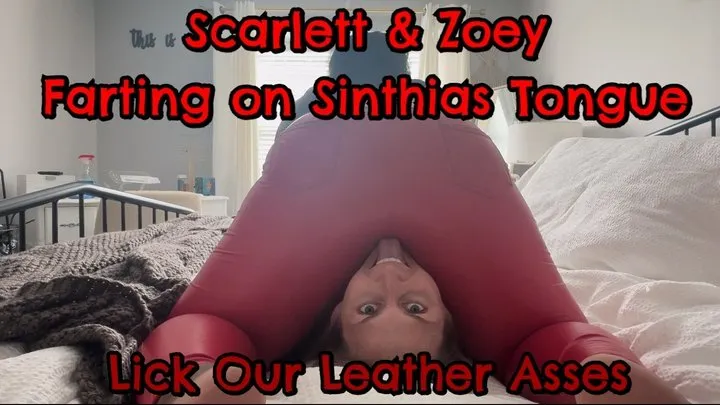 Lick Our Leather Farts!