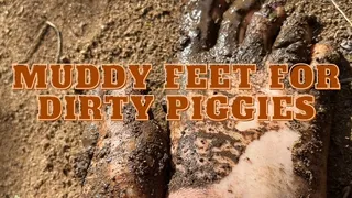 Muddy Feet For Dirty Piggies