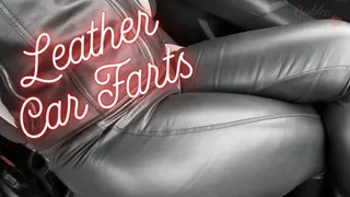 Leather Car Farts