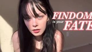 Findom Is Your Fate