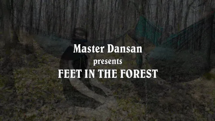 Feet in forrest