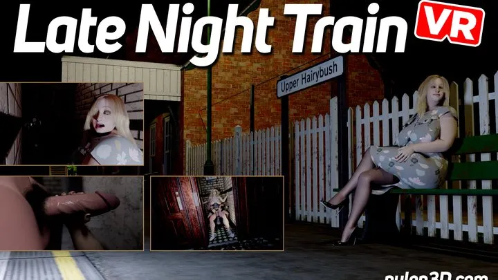 Late Night Train VR