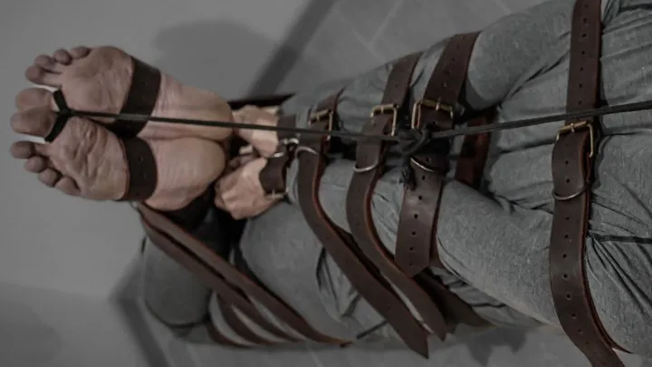 Hogtied with a lot of belts