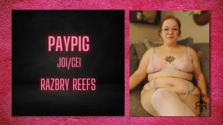 Paypig JOI- CEI