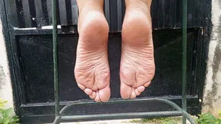 Natural soles from behind and close-up (3)