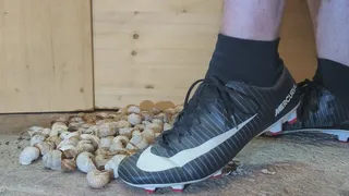 Giant Size 47 Nike Mercurial grind 100 snailhouses to millions of chips