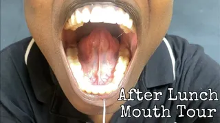 After Lunch Mouth Tour