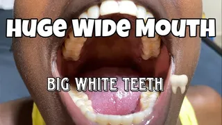 My second Mouth Tour and tongue play with saliva Rowanie has huge white teeth and a big mouth playing with her saliva and breathing out mist on the screen