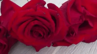 Trampled 3 roses with leather boots cc