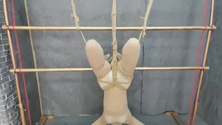 Inverted suspension on an iron frame