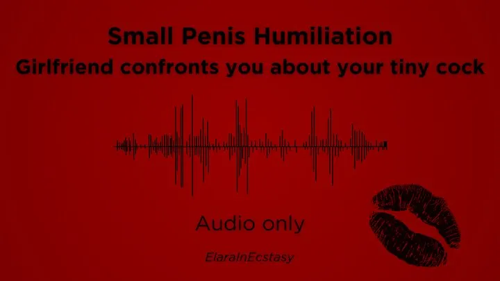 SPH Audio - Girlfriend confronts boyfriend about his tiny dick