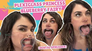 Plexiglass Princess Blueberry Fairy Dental Apparatus