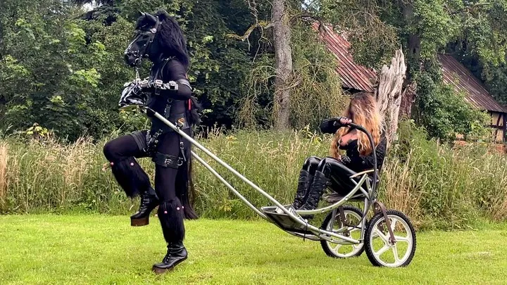 Ponyplay Cart Pulling 1