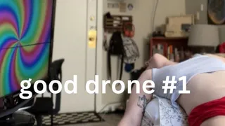 Learning How to Be a Good Drone: 1