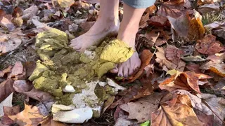 Smashing Giant Mushrooms