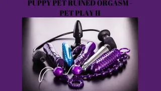 PUPPY PET RUINED ORGASM - PET PLAY II [Puppy] [Pup Play] [Human Pup Fantasy] Mind Melt