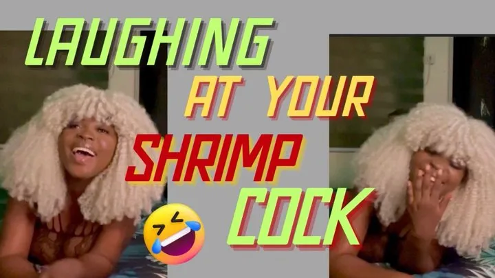 Laughing at your shrimp cock