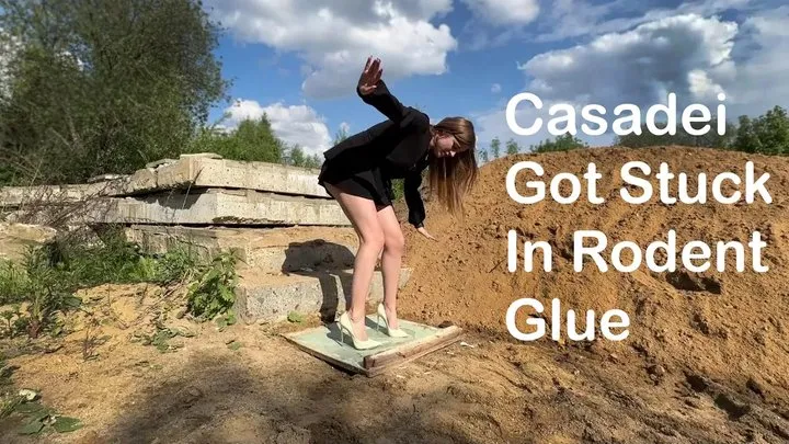 Girl in Casadei high heels got stuck in rodent glue, high heels stuck in glue, stuck girl