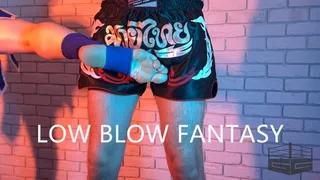 Low blow fantasy 1