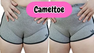 CAMELTOE Big pussy