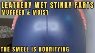 Blue Leather Farts: Moist, Muffled, and Stinky!