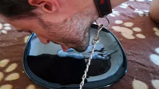 Mistress makes her slave boy lick up his own cum from a plate