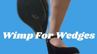 Wimp For Wedges