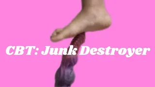 CBT: Junk Destroyer