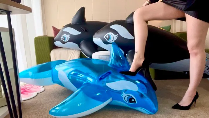 Mean cop inspects your ride on whales