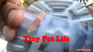 Giantess Crew - CJ - Tiny Pet Life