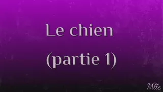 Le chien - partie 1