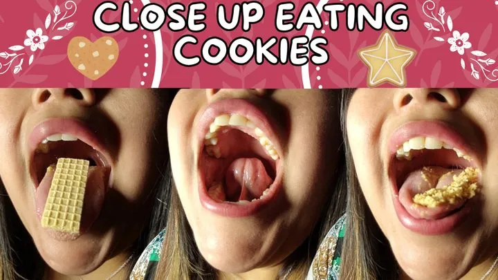 Close up eating cookies