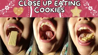 Close up eating cookies