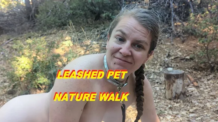 Leashed pet on a nature walk