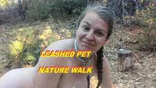 Leashed pet on a nature walk